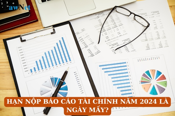 Hạn nộp báo cáo tài chính năm 2024 là ngày mấy? Không nộp báo cáo tài chính có bị phạt không?