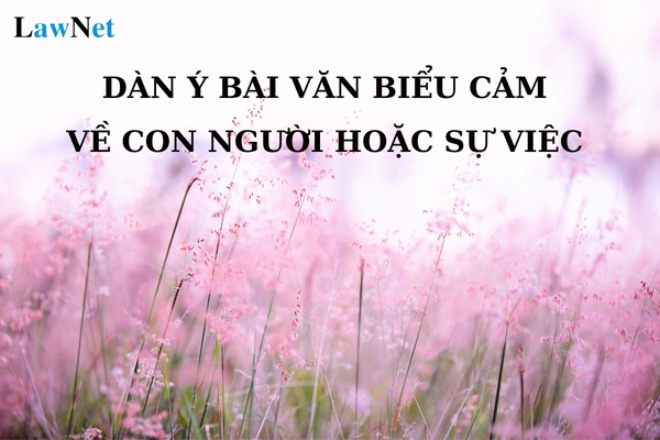 Mẫu dàn ý bài văn biểu cảm về con người hoặc sự việc? Trường trung học cơ sở có tối thiểu bao nhiêu lớp?