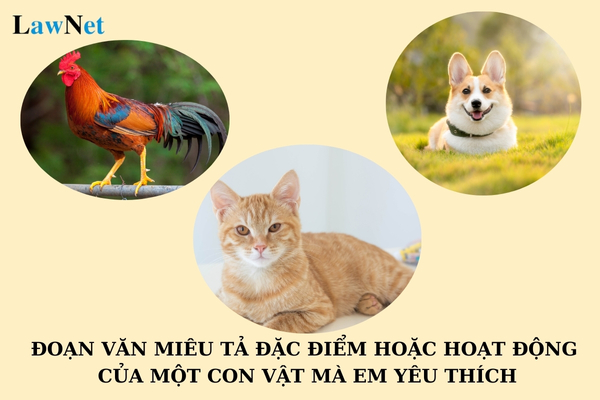 Mẫu đoạn văn miêu tả đặc điểm hoặc hoạt động của một con vật mà em yêu thích lớp 4?