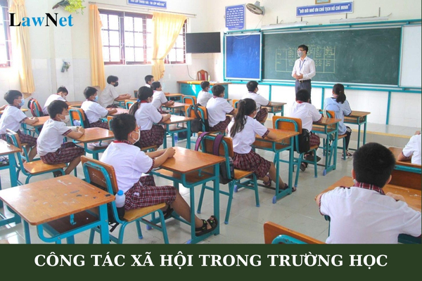 Công tác xã hội trong trường học bao gồm những nội dung nào?