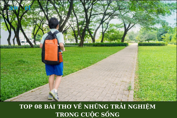 Top 08 bài thơ về những trải nghiệm trong cuộc sống lớp 4? Đánh giá học sinh tiểu học phải đảm bảo những yêu cầu nào?