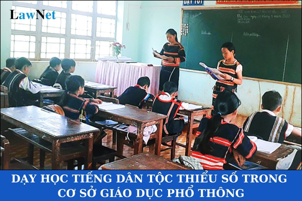 Điều kiện tổ chức dạy học tiếng dân tộc thiểu số trong cơ sở giáo dục phổ thông là gì?