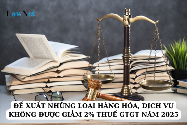 Đề xuất những loại hàng hóa, dịch vụ không được giảm 2% thuế GTGT trong 6 tháng đầu năm 2025?