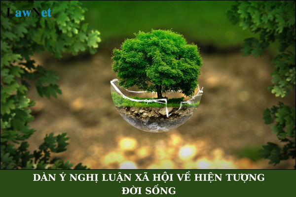 Cách lập dàn ý nghị luận xã hội về hiện tượng đời sống? Giáo dục phổ thông gồm những cấp học nào?