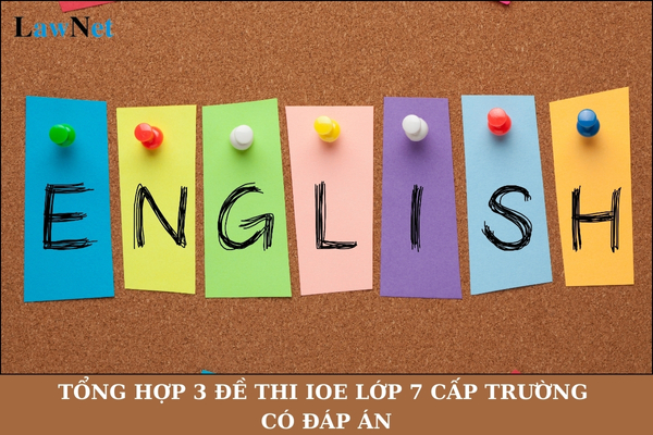 Tổng hợp 3 đề thi IOE lớp 7 cấp trường có đáp án? Những kỹ năng ngôn ngữ nào học sinh lớp 7 được học trong môn Tiếng Anh?