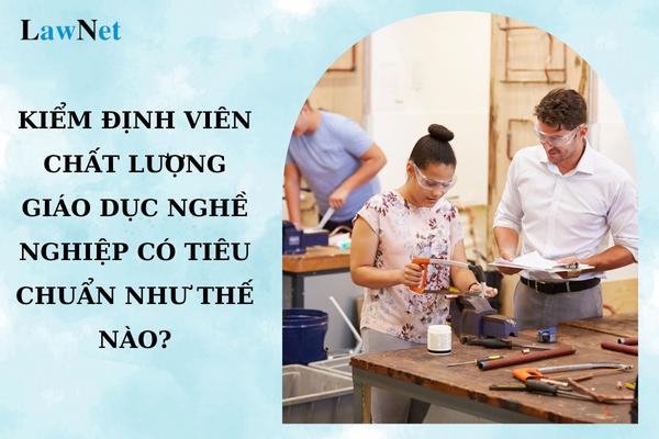 Kiểm định viên chất lượng giáo dục nghề nghiệp có tiêu chuẩn như thế nào? Nhiệm vụ của kiểm định viên chất lượng giáo dục nghề nghiệp là gì?