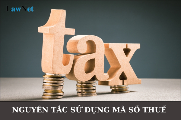 Nguyên tắc sử dụng mã số thuế của người nộp thuế và doanh nghiệp tổ chức cá nhân ra sao?