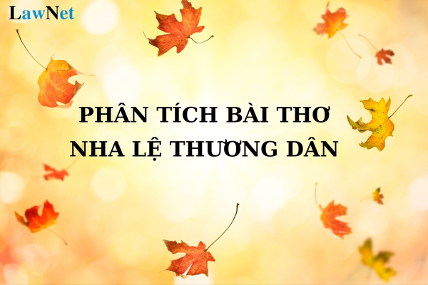 Mẫu phân tích bài thơ trào phúng Nha lệ thương dân? Trường trung học được tổ chức theo mấy loại hình?