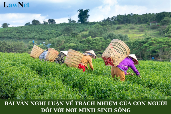 Mẫu bài văn nghị luận về trách nhiệm của con người đối với nơi mình sinh sống?