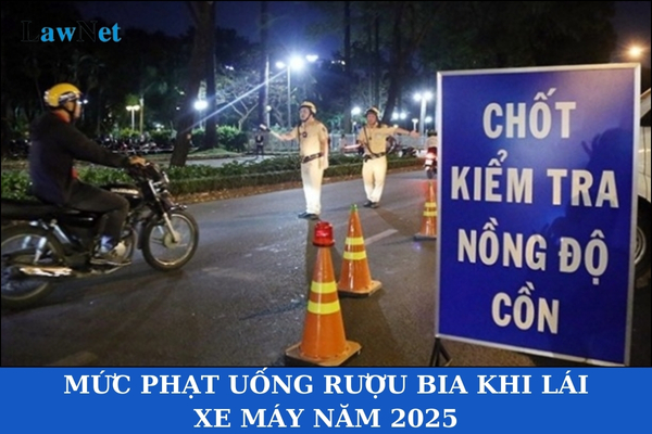 Mức phạt uống rượu bia khi lái xe máy năm 2025? Tiền xử phạt vi phạm hành chính có thuộc nguồn thu ngân sách nhà nước không?