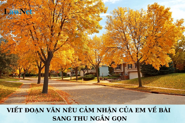 Viết đoạn văn nêu cảm nhận của em về bài Sang thu ngắn gọn lớp 7?