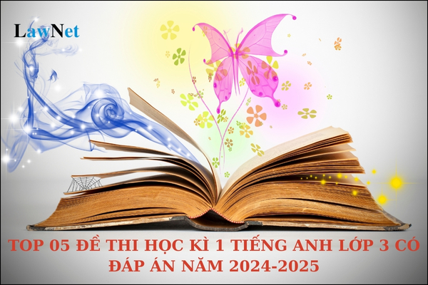 Top 05 đề thi học kì 1 Tiếng Anh lớp 3 có đáp án năm 2024-2025?