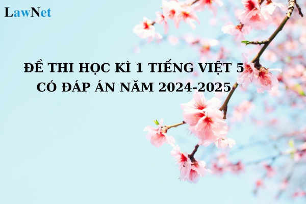 Đề thi học kì 1 Tiếng Việt 5 có đáp án năm 2024-2025? Học sinh lớp 5 cần đạt yêu cầu về năng lực văn học như thế nào?