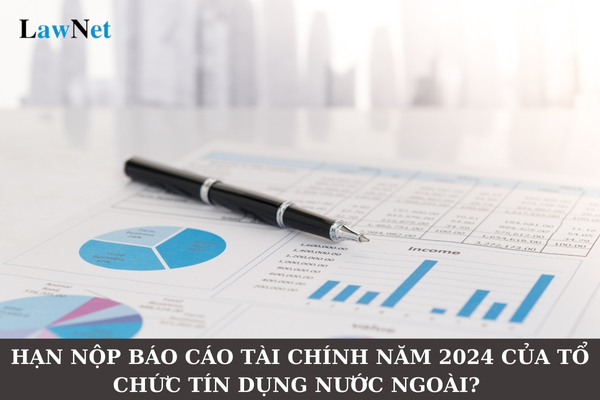 Hạn nộp báo cáo tài chính năm 2024 của tổ chức tín dụng nước ngoài là khi nào? 