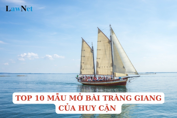 Top 10 mẫu mở bài Tràng giang của Huy Cận hay nhất? Khi nào học sinh lớp 11 được chuyển từ trường tư thục sang trường công lập? 