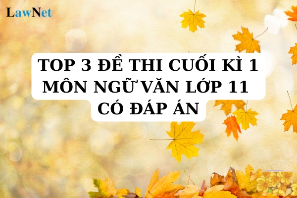 Top 3 đề thi cuối kì 1 môn Ngữ văn lớp 11 có đáp án? Mỗi lớp trong trường trung học phổ thông chuyên có tối đa bao nhiêu học sinh?