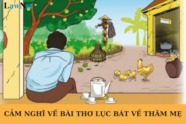 Viết đoạn văn nêu cảm nghĩ về bài thơ lục bát Về thăm mẹ? Có mấy hình thức đánh giá kết quả rèn luyện và học tập của học sinh lớp 6?