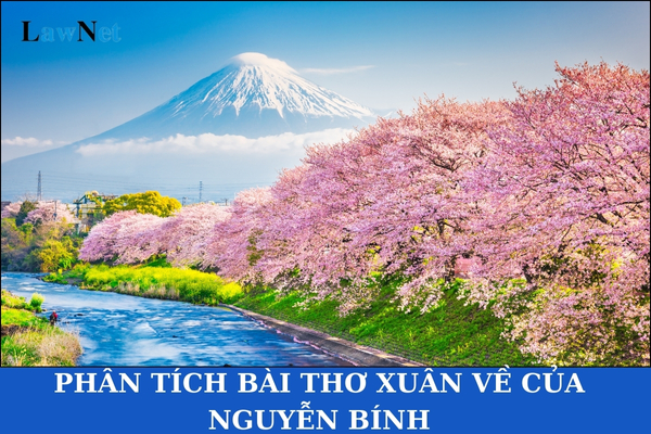 Mẫu phân tích bài thơ Xuân về của Nguyễn Bính ngắn nhất? Mỗi lớp học trong cơ sở giáo dục nghề nghiệp cấp THPT có tối đa bao nhiêu người học