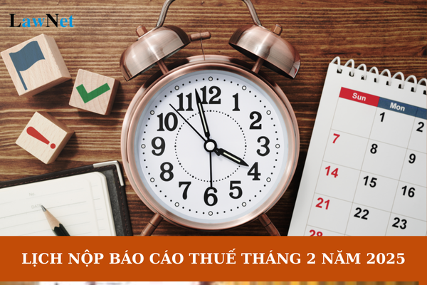 Lịch nộp báo cáo thuế tháng 2 năm 2025? Chậm nộp hồ sơ khai thuế bị phạt bao nhiêu tiền?