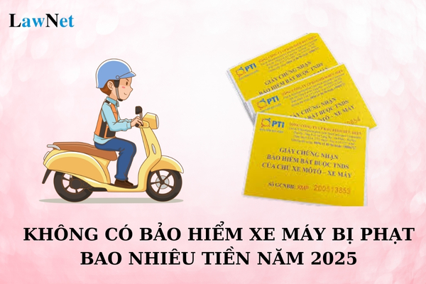 Không có bảo hiểm xe máy bị phạt bao nhiêu tiền năm 2025? Mức phí bảo hiểm xe máy hiện nay như thế nào?