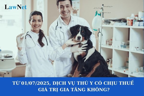 Từ 01/07/2025, dịch vụ thú y có chịu thuế giá trị gia tăng không?