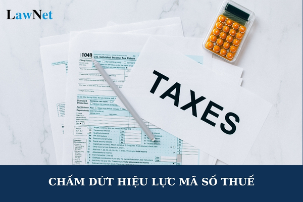 Người nộp thuế đăng ký thuế trực tiếp với cơ quan thuế thực hiện chấm dứt hiệu lực mã số thuế trong trường hợp nào?