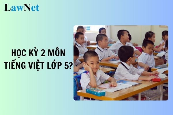 xem bóng đá trực tiếp trên youtube