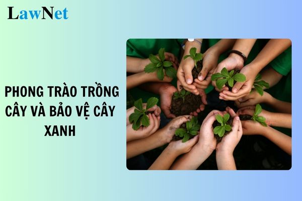 xoilac tv trực tiếp bóng đá hôm nay