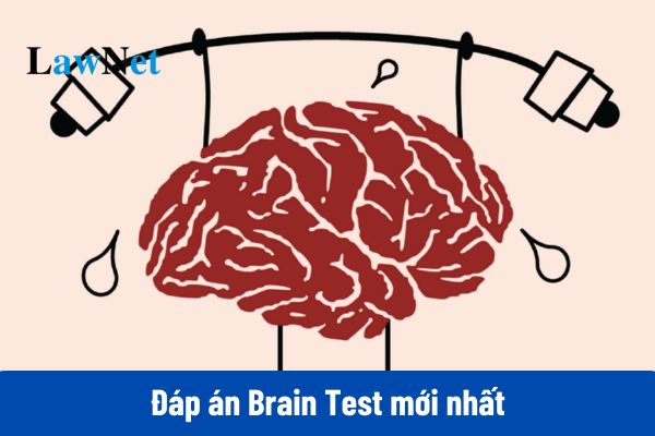 Đáp án Brain Test đầy đủ Level 1 đến 400 mới nhất?