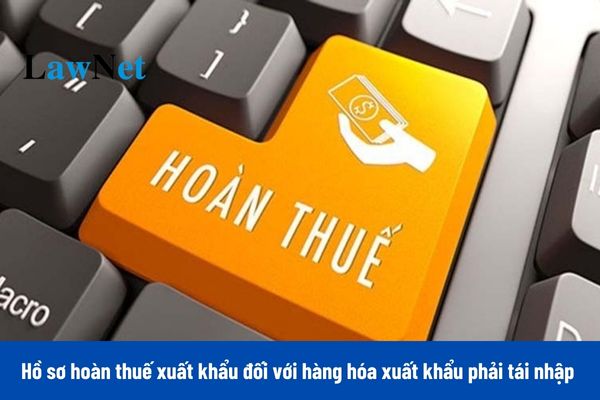 Hồ sơ hoàn thuế xuất khẩu đối với hàng hóa xuất khẩu phải tái nhập năm 2024 bao gồm những gì?