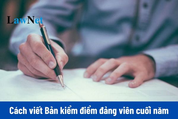 Hướng dẫn 3 cách viết Bản kiểm điểm đảng viên cuối năm 2024 mẫu 2A, 2B?