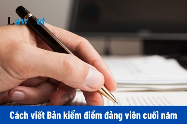 Hướng dẫn điền Bản kiểm điểm cá nhân đảng viên cuối năm 2024 cho cá nhân không giữ chức vụ lãnh đạo?