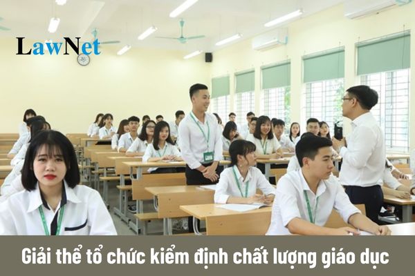 Từ 20/11/2024, tổ chức kiểm định chất lượng giáo dục bị giải thể khi nào?