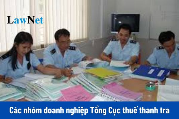 Các nhóm doanh nghiệp nào Tổng Cục thuế tập trung thanh tra, kiểm tra vào năm 2025?