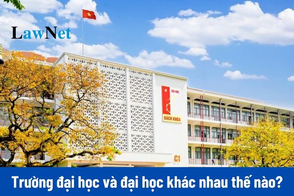 Trường đại học và đại học khác nhau thế nào?