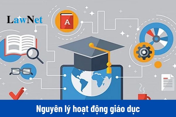 Hoạt động giáo dục được thực hiện theo nguyên lý nào?