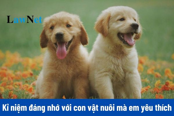 Mẫu viết bài văn kể về kỉ niệm đáng nhớ với con vật nuôi mà em yêu thích môn Ngữ văn lớp 8? 