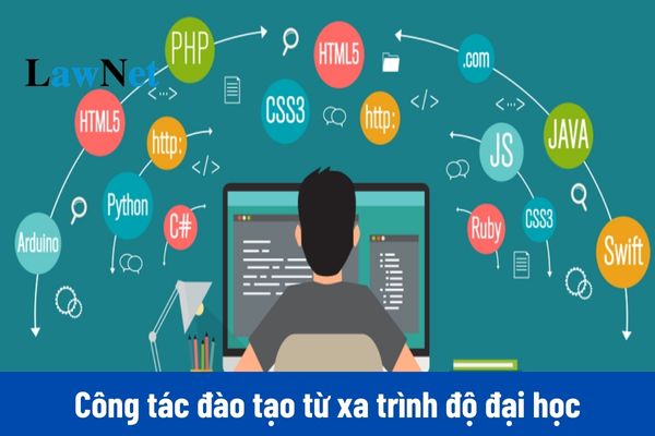 Mẫu báo cáo về công tác đào tạo từ xa trình độ đại học 2024 mới nhất?