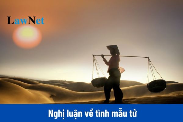 Dàn ý viết bài văn nghị luận về tình mẫu tử môn Ngữ văn lớp 12?