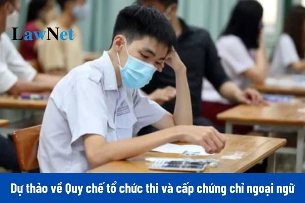 Xử lý thí sinh vi phạm quy chế thi đánh giá năng lực ngoại ngữ theo Dự thảo mới nhất như thế nào?