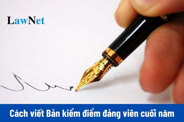 Hướng dẫn 02 cách viết chi tiết mẫu 2A Bản kiểm điểm đảng viên cuối năm 2024?