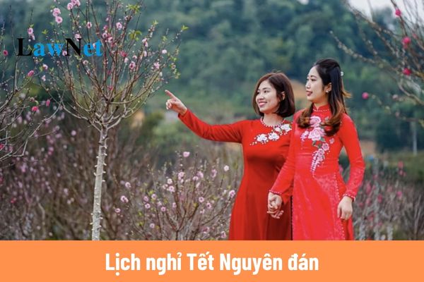 Lịch nghỉ Tết Nguyên đán 2025 của công chức, cán bộ, nhân viên ngành thuế?