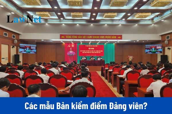 Link tải về 5 mẫu Bản kiểm điểm Đảng viên 2024?