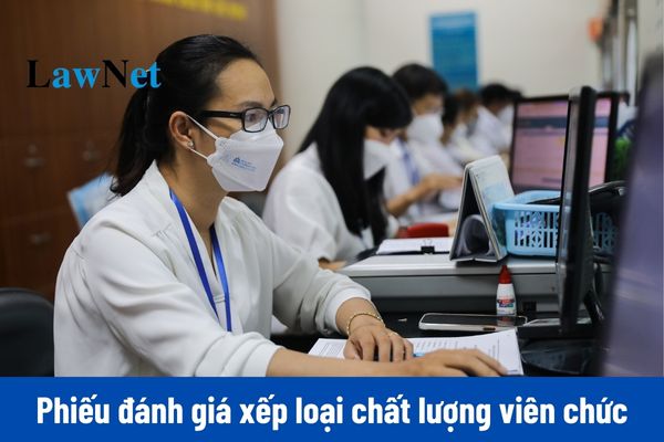 Tải và hướng dẫn viết phiếu đánh giá xếp loại chất lượng viên chức cuối năm 2024 chi tiết?