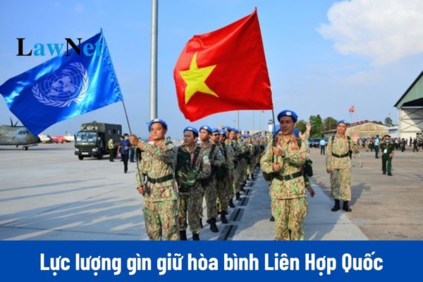 Việt Nam triển khai tham gia lực lượng gìn giữ hòa bình Liên Hợp Quốc từ năm nào? Nội dung quản lý nhà nước về giáo dục pháp luật?