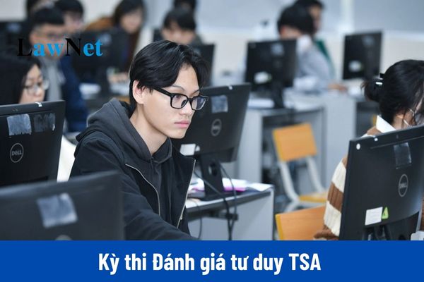 Tổng hợp các câu hỏi phần tư duy đọc hiểu đề thi đánh giá tư duy TSA 2025?