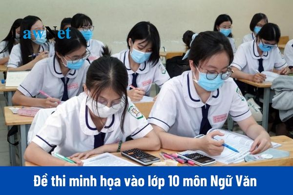 Đề thi minh họa vào lớp 10 môn Ngữ Văn Ninh Bình 2025 như thế nào?