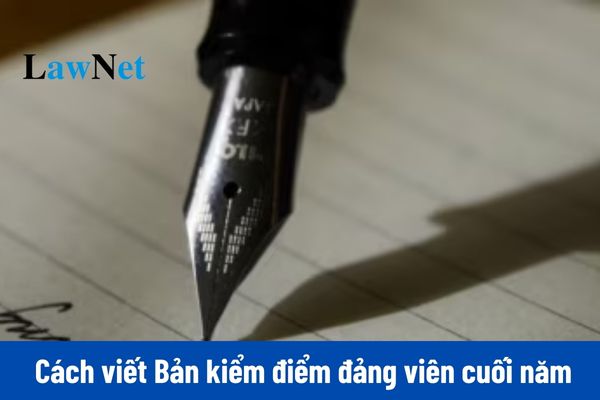 Mẫu viết hoàn chỉnh Bản kiểm điểm cá nhân đảng viên 2024 mẫu 2A, 2B?