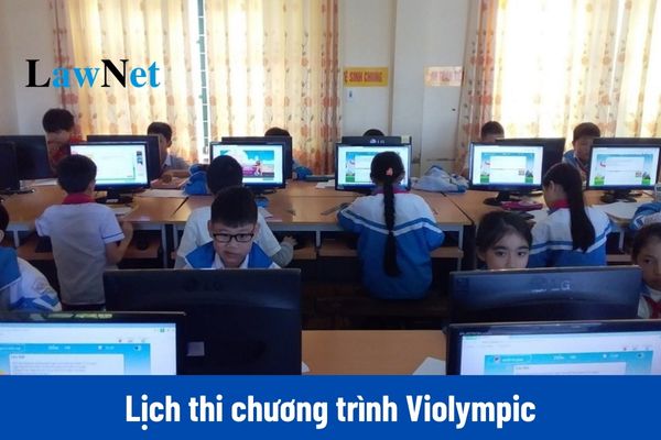 Lịch thi Violympic cấp trường năm học 2024 2025? Còn bao nhiêu ngày nữa thi?