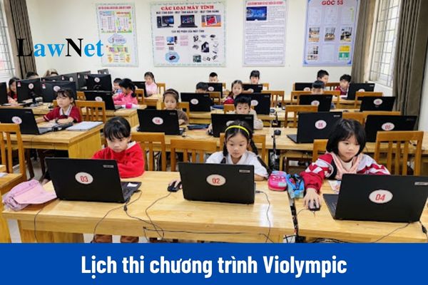 Lịch thi Violympic đầy đủ các vòng năm học 2024 2025?